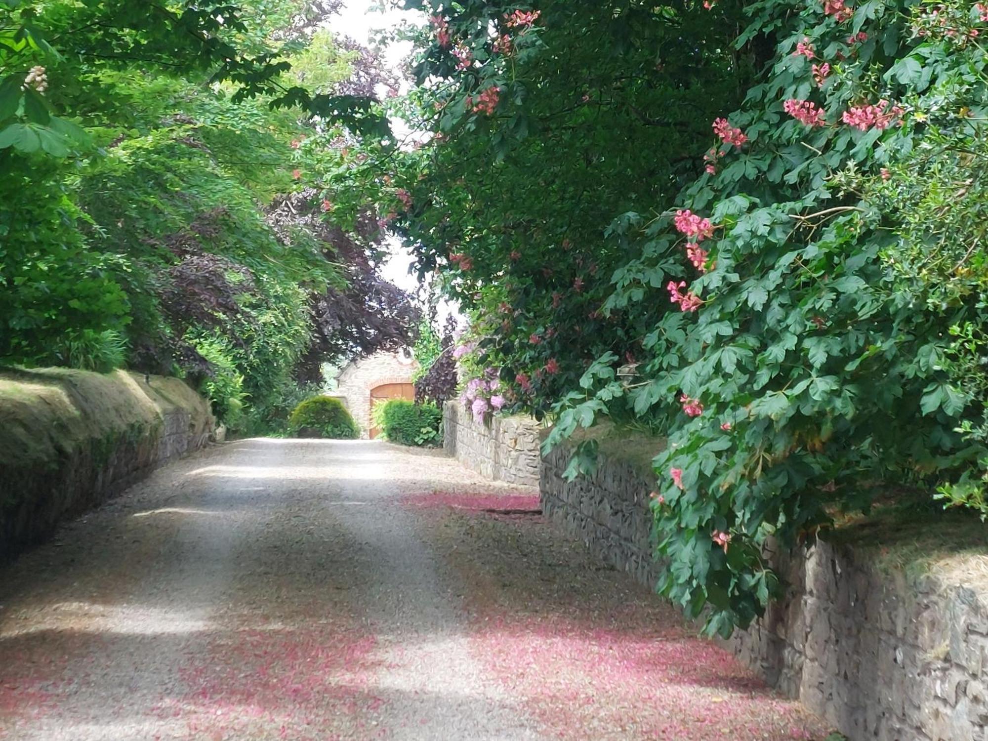 Villa Bellfry At Old Boley Barntown Esterno foto